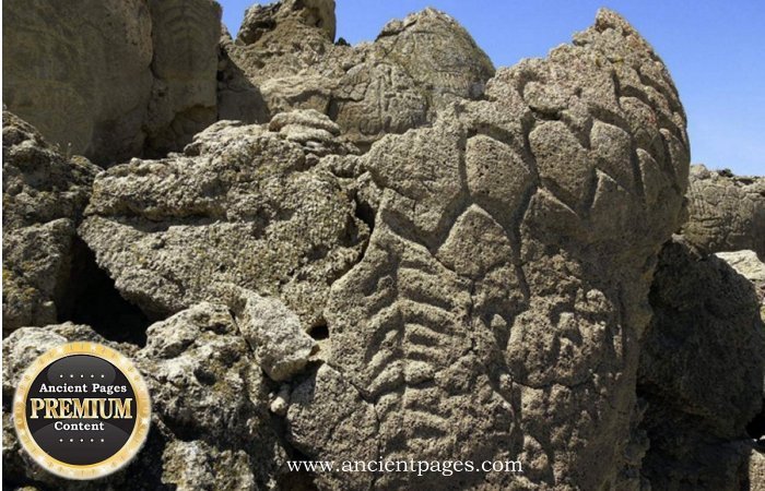 Ancient Secrets Of The Petroglyphs At The Winnemucca Lake: North America’s Oldest Known