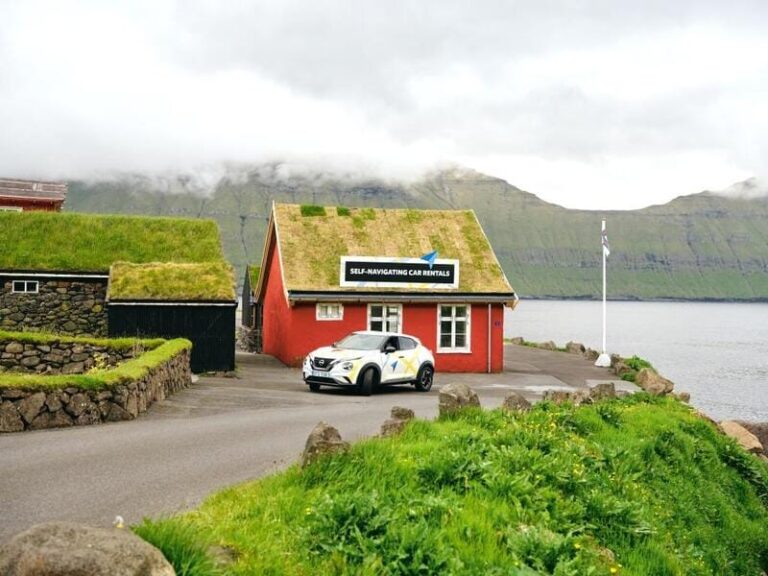 Clean the Sky – Self-Navigating Car Rental Programs