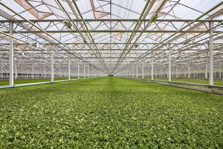 Clean the Sky – Controlled Agriculture Farms