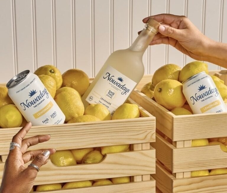 Refreshing THC-Enhanced Lemonades : THC-Infused Beverage