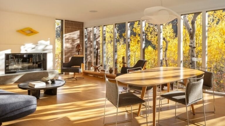 Mid-Century Renovation Projects : the perch