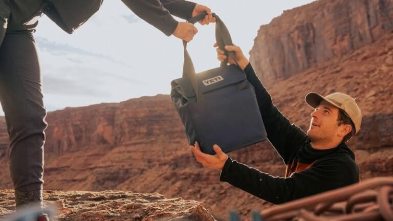 Insulated Day Trip Coolers : YETI Daytrip