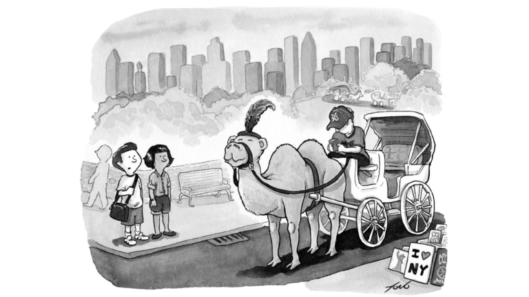 ‘Looks like it’s going to be a hot summer’ » Yale Climate Connections