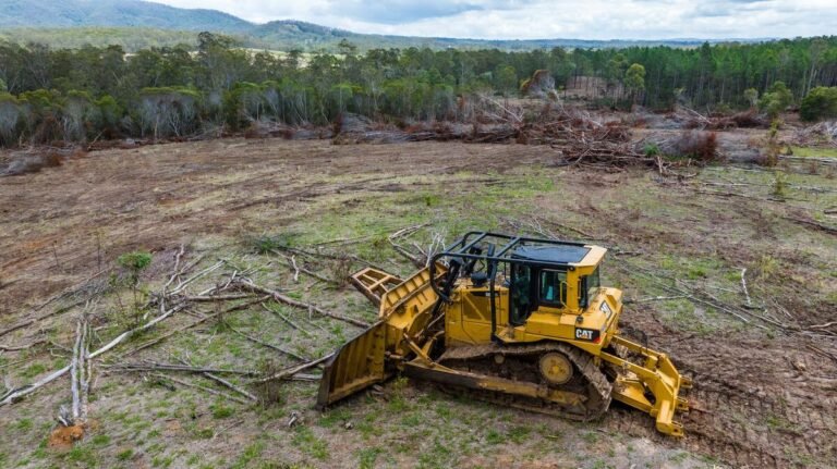 Greenpeace opposes any moves to fast-track developments without stronger and upfront nature protections