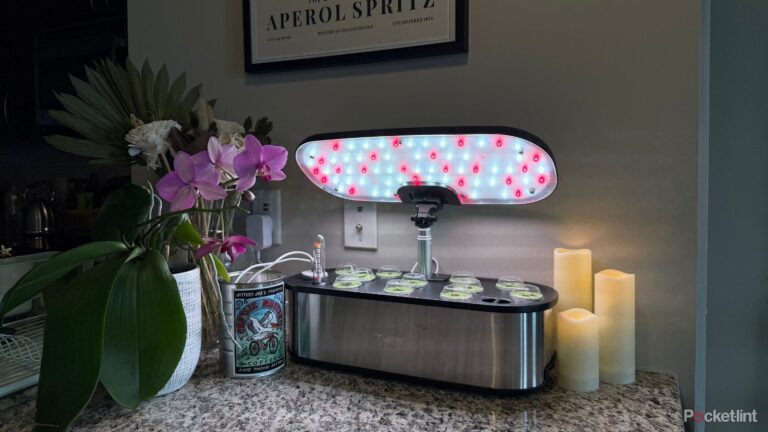 High-tech hydroponics helped me hack my way to year-round flavor