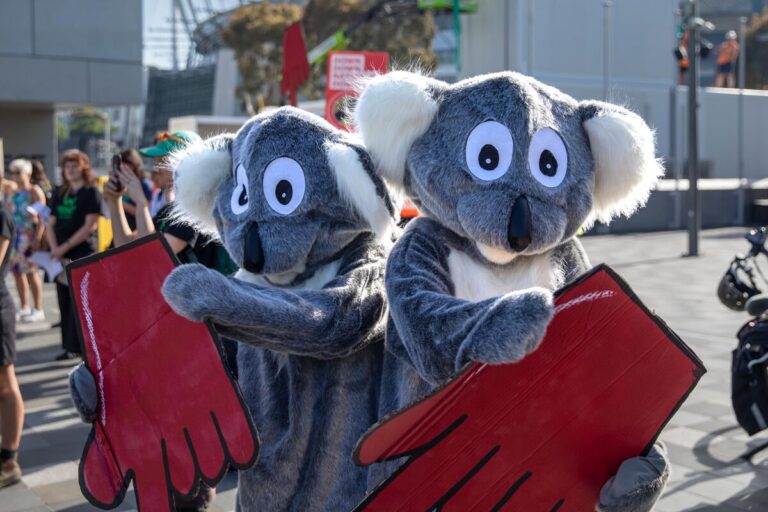 Down down, deforestation is down!