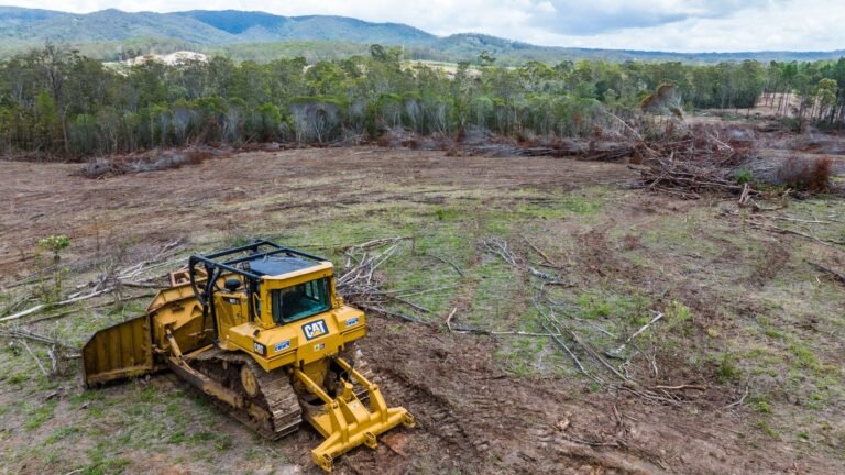 New Qld deforestation data ‘big red flag’ for EPBC Act