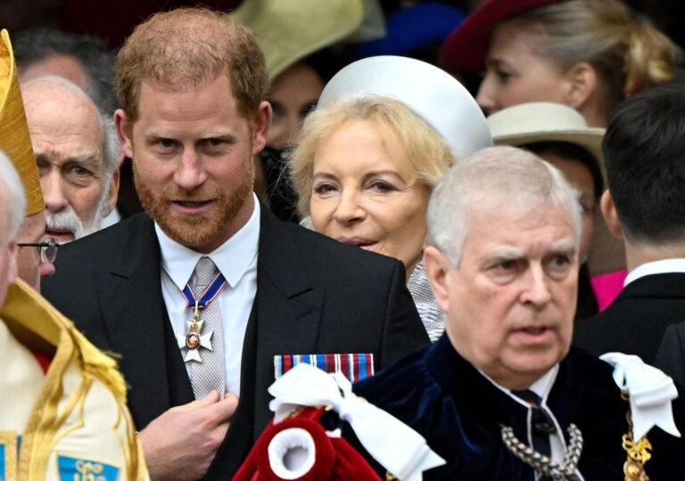 Prince Harry Addresses Claims of ‘Physical Fight’ That left Prince Andrew With Bloody Nose