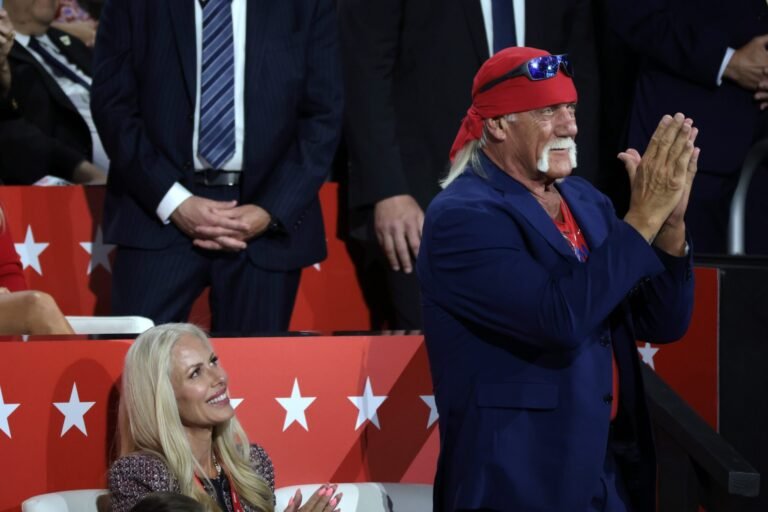 Sky Daily Explains Why Hulk Hogan Has Not Been Cremated. Yet.