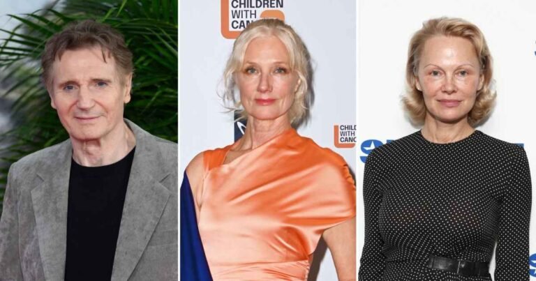 Liam Neeson Romance With Pamela Anderson Backed by Late Wife’s Sister