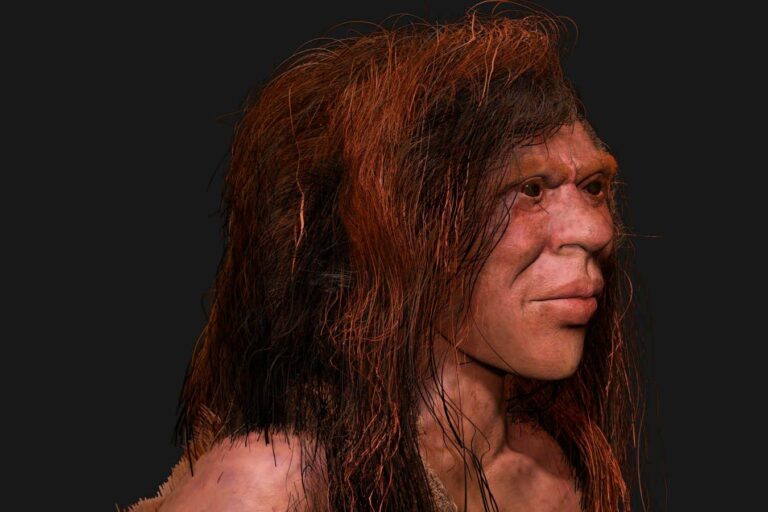Understanding the Denisovans means understanding ourselves