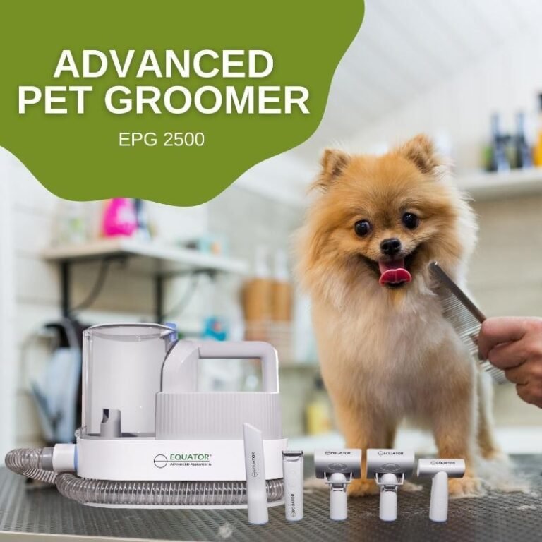 Top 30 Pets Trends in August