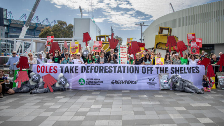 “Fight for forests far from over” as Coles releases deforestation-free commitment