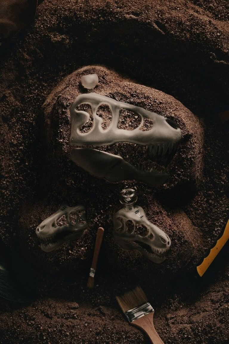 Dinosaur Fossil-Themed Bong Designs : Dinosaur Fossil