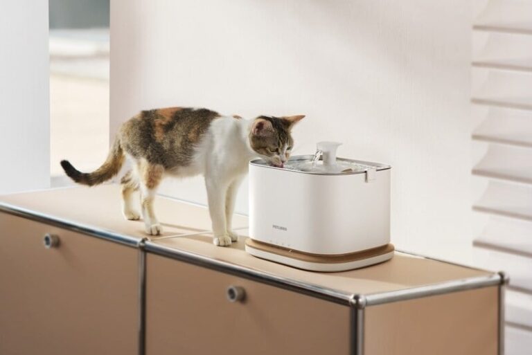Insightful Pet Fountains : Dockstream 2 Smart Fountain