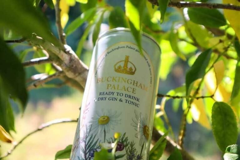 Canned British Palace Cocktails : Dry Gin & Tonic