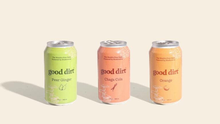 Prebiotic Mushroom Sodas : good dirt