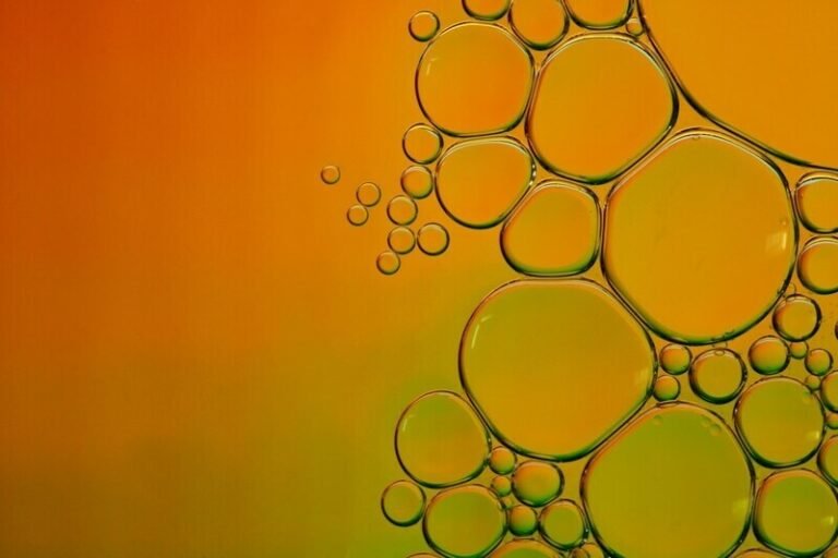 Flavor-Packed Olive Oils : gourmet olive oil