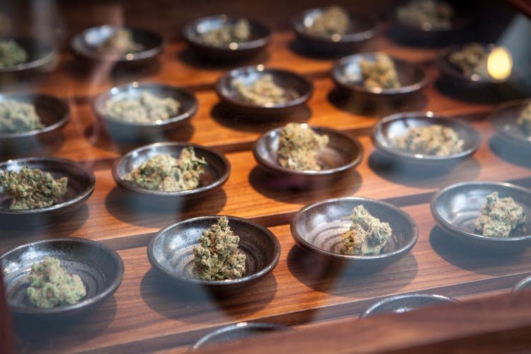 Trump reportedly considering reclassifying marijuana to less dangerous status