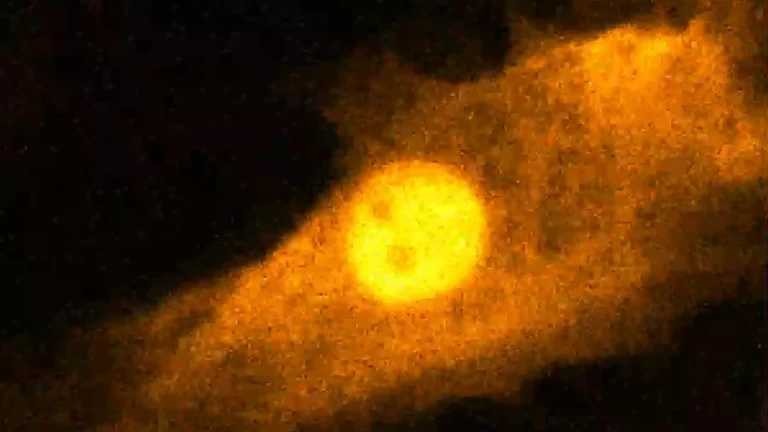 Stopping time in cells exposes life’s fastest secrets