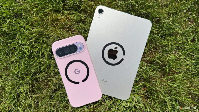 You don’t need the Pixel 10’s Pixelsnap