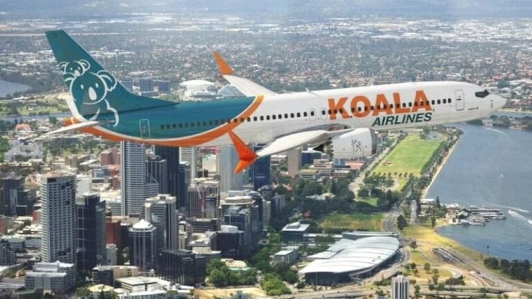 Clean the Sky – Sustainable Domestic Flights