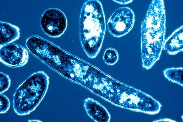 Legionnaires’ Disease Outbreak in New York City Linked to Cooling Towers