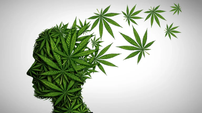 The hidden mental health danger in today’s high-THC cannabis