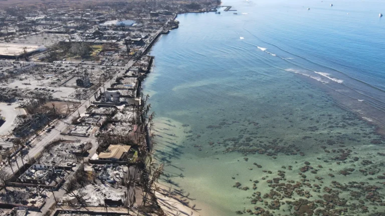 Maui’s fires drove a 67% jump in deaths. Most went uncounted