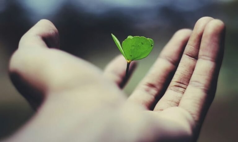 Clean the Sky – Corporate Impact Frameworks