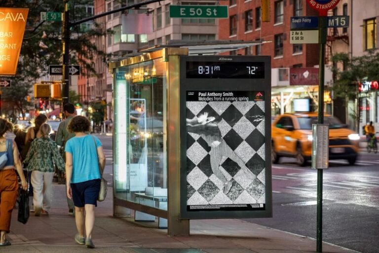 Public Art Displays : Paul Anthony Smith’