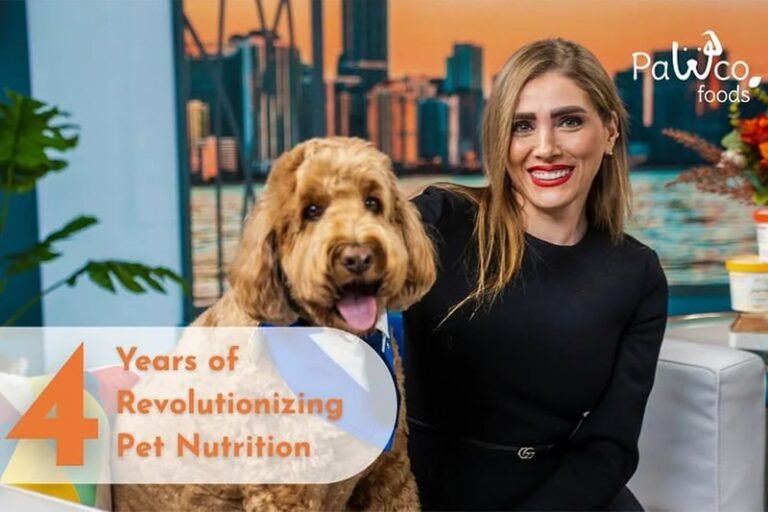 Clean the Sky – Pet Brand Sustainability Milestones