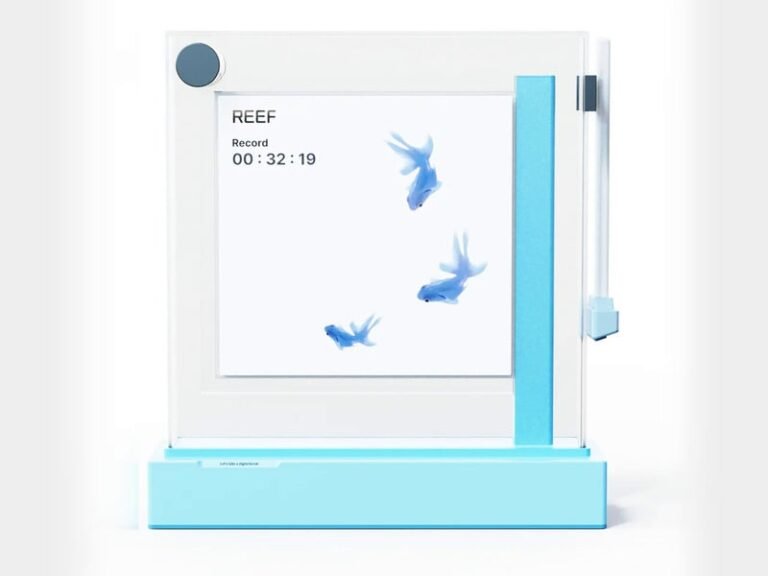 Mindful Digital Aquariums : reef 1
