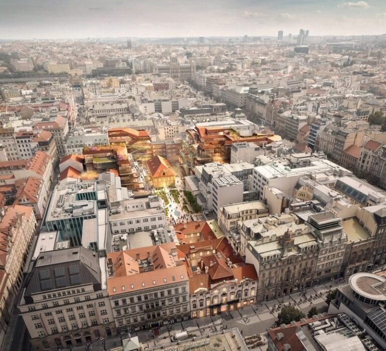 Revived Heritage Courtyards : Savarin Project