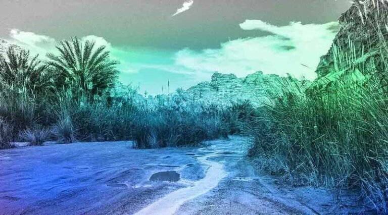 Clean the Sky – Biodiversity Documentation Initiatives