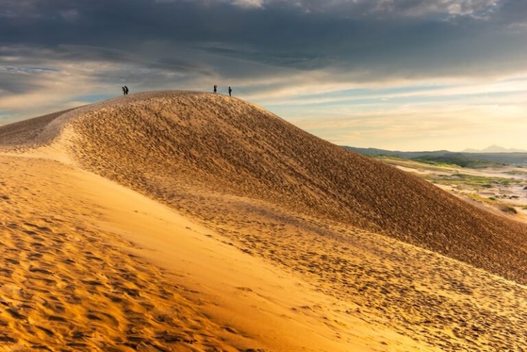 Clean the Sky – Eco-Friendly Dune Initiatives