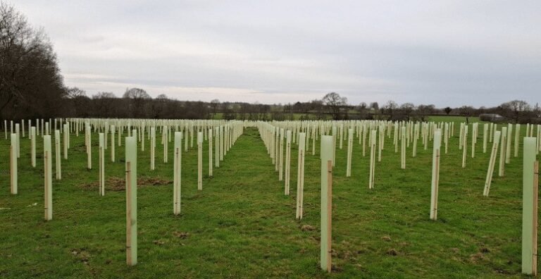 Clean the Sky – Sustainable Tree-Protecting Shelters