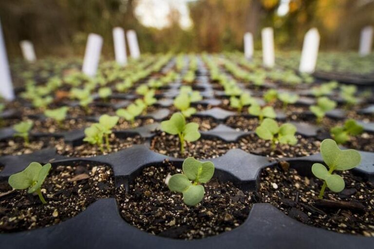 Clean the Sky – Composting Program Partnerships