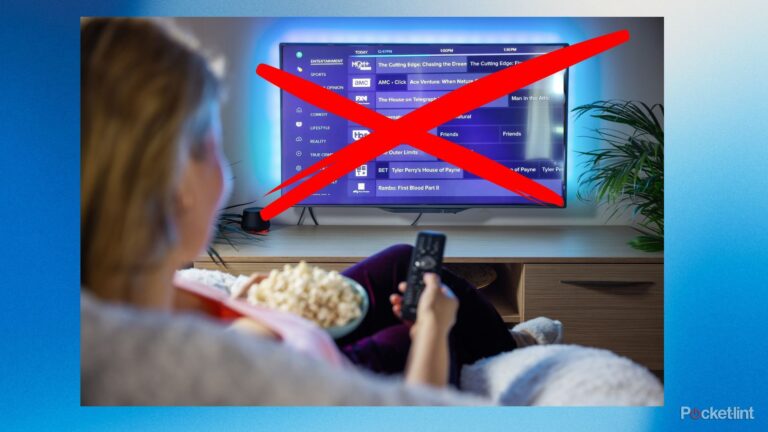 Disney doesn’t want you using this $5 streaming service