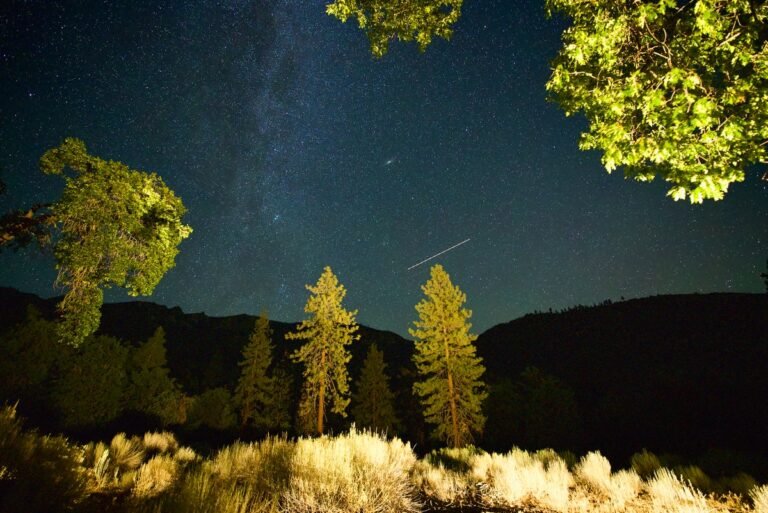 The Perseid Meteor Shower Is Peaking. Here’s How to Watch