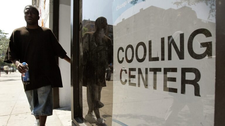 The 1995 Chicago heat wave killed hundreds. A new tool aims to prevent the next tragedy. » Yale Climate Connections