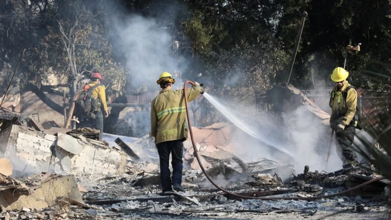 When wildfire hit her street, even a climate expert felt unprepared » Yale Climate Connections