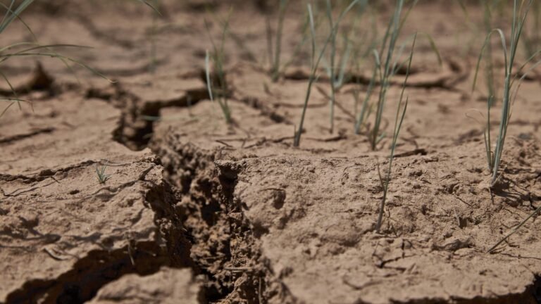 How climate change increases the risk of these short-lived but devastating events » Yale Climate Connections