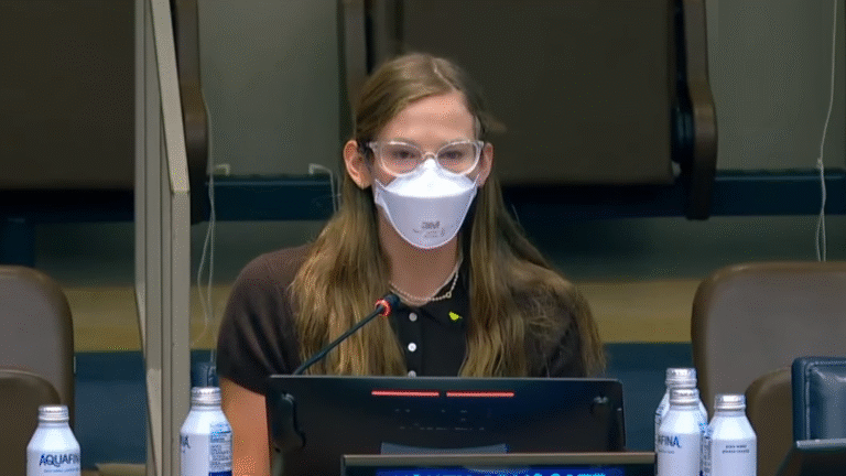Violet Affleck Bombarded with Insults & Threats After UN Speech