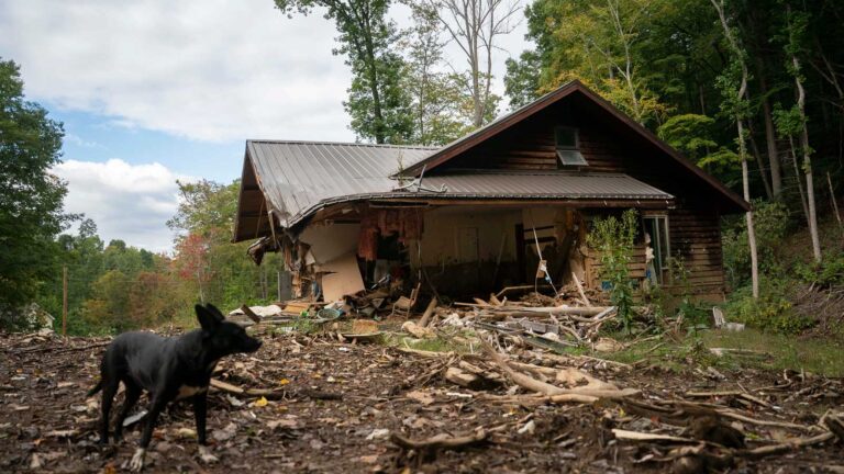 When Helene hit, they lost their homes. Under Trump, they could lose even more. » Yale Climate Connections