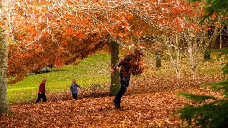 Think outside the box this fall for portrait photoshoots