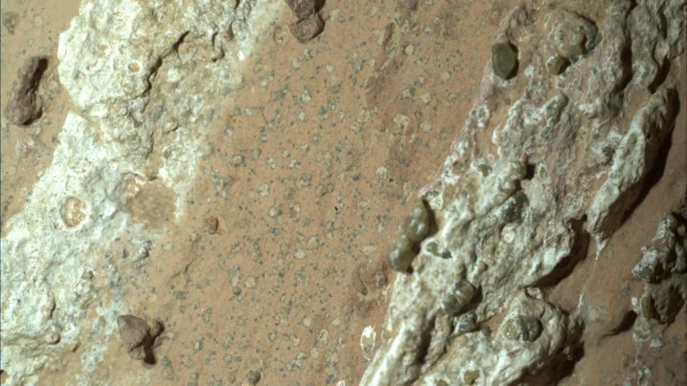 Life on Mars? NASA discovers potential biosignatures in Martian mudstones