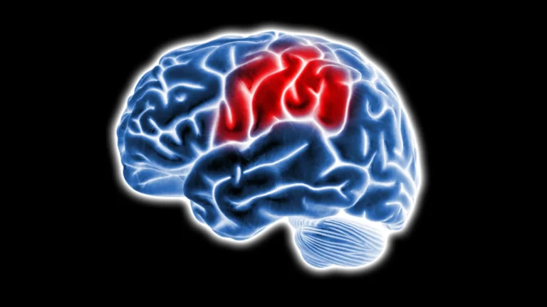 Why Alzheimer’s attacks the brain’s memory hub first