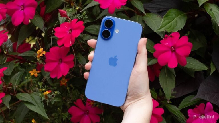 The iPhone 17 continues a boring color trend, but I’m hopeful the iPhone 18 will turn it around