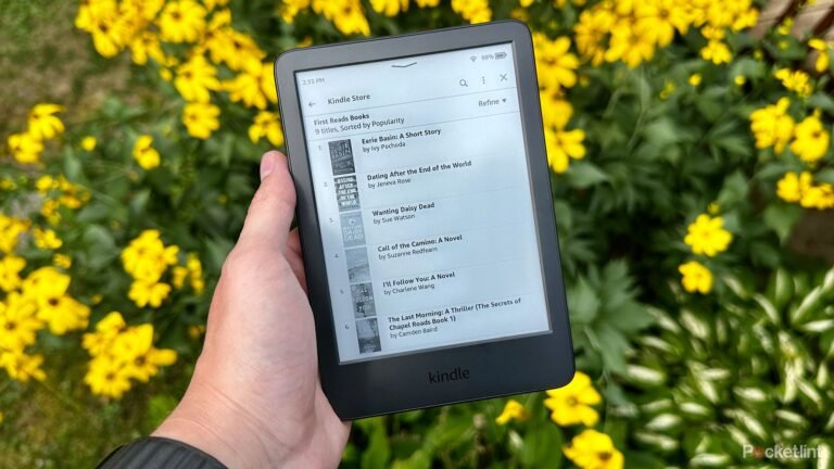 I get free Kindle e-books as a Prime member thanks to this hidden program